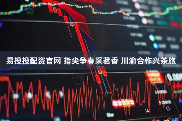 易投投配资官网 指尖争春采茗香 川渝合作兴茶旅