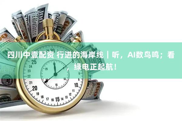 四川中壹配资 行进的海岸线｜听，AI数鸟鸣；看，绿电正起航！