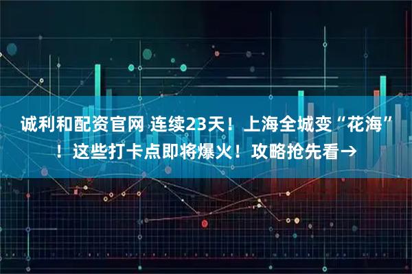 诚利和配资官网 连续23天！上海全城变“花海”！这些打卡点即将爆火！攻略抢先看→