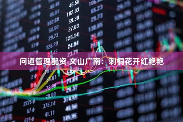 问道管理配资 文山广南：刺桐花开红艳艳