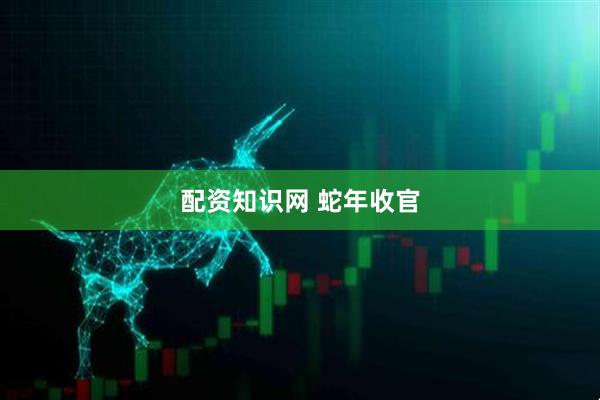 配资知识网 蛇年收官